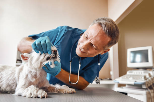 Best Urgent Care for Lost Fillings or Crowns in Tahlequah, OK